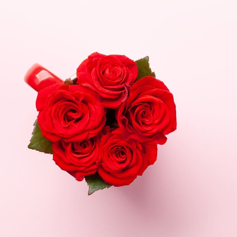 Rose Day gift idea for Valentine's Week