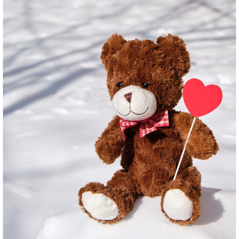 Teddy Day gift idea